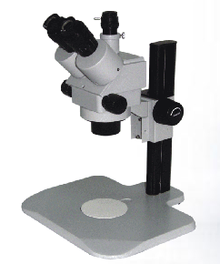 �m(x��)׃���wҕ�@΢�RXTL+8V